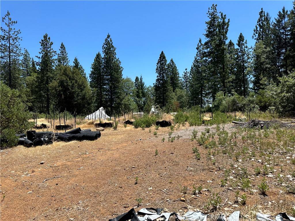 Upper Lake, CA 95485,26949 Bear Creek RD