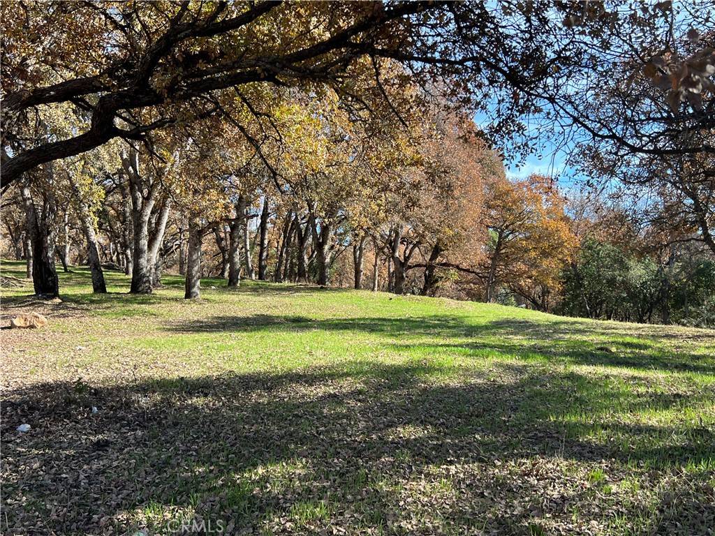 Clearlake, CA 95422,6060 Old Highway 53