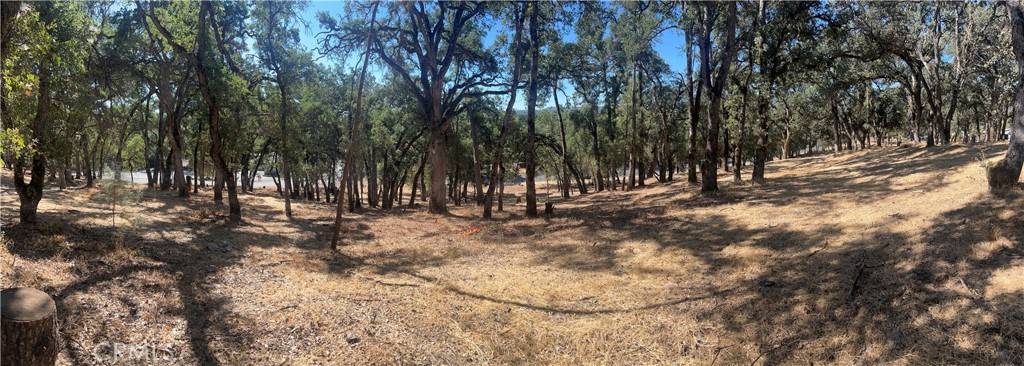 Clearlake, CA 95422,6060 Old Highway 53