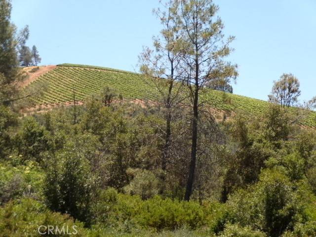 Clearlake Oaks, CA 95423,1105 Round Mountain