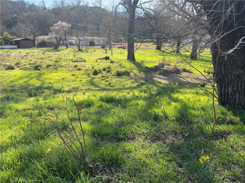 Lower Lake, CA 95457,16387 Daly ST