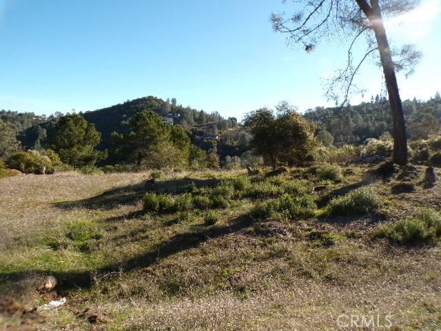 Kelseyville, CA 95452,4968 Iroquois TRL