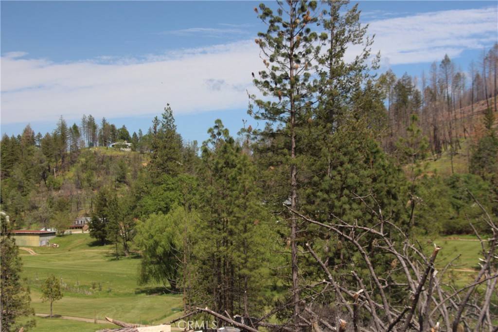 Cobb, CA 95426,14636 Lema LN