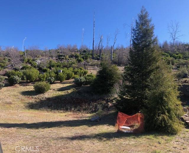 Cobb, CA 95426,15260 Evergreen DR