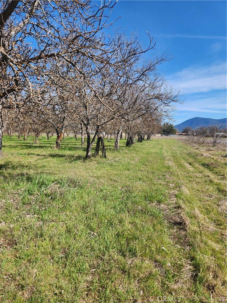 Lakeport, CA 95453,1665 Big Valley RD