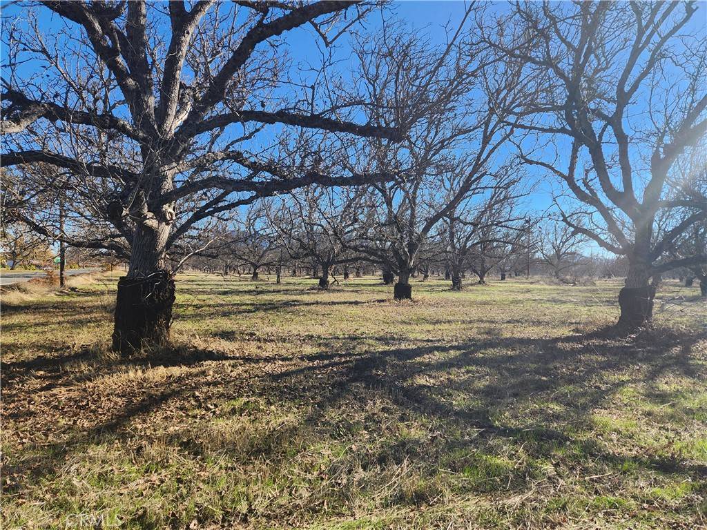Lakeport, CA 95453,1665 Big Valley RD