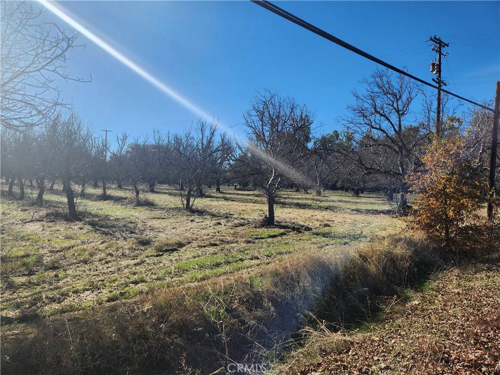 Lakeport, CA 95453,1665 Big Valley RD