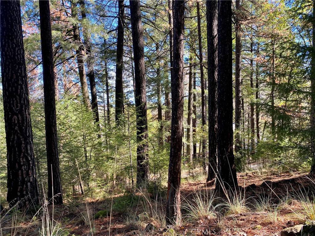 Cobb, CA 95426,9689 Elliott DR