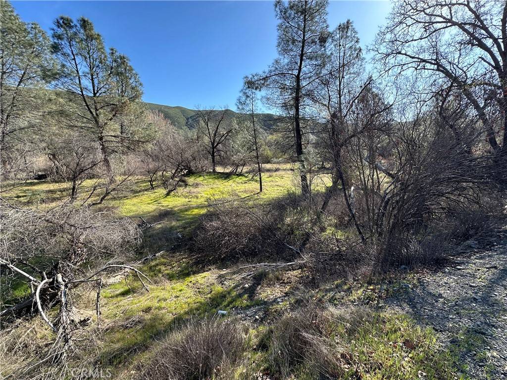 Clearlake Oaks, CA 95423,1395 New Long Valley RD