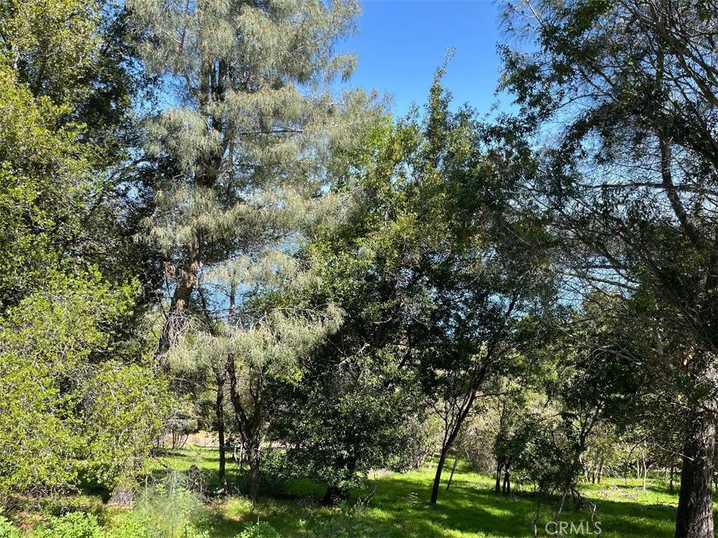 Kelseyville, CA 95451,8452 Soda Bay RD