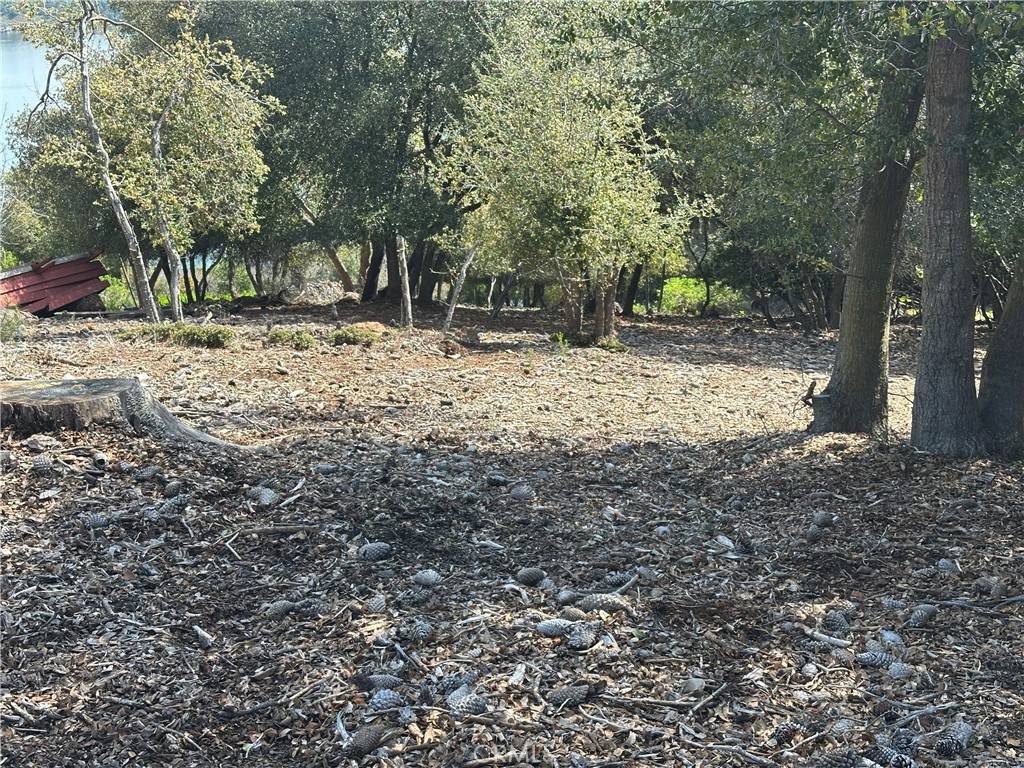 Kelseyville, CA 95451,8270 N Heights DR