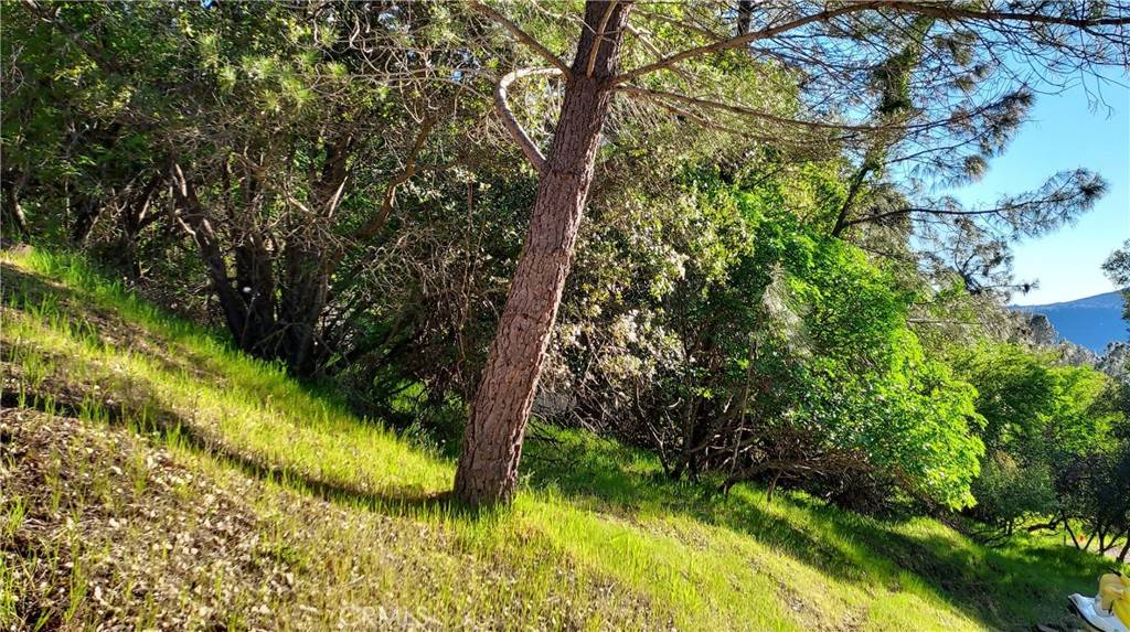 Clearlake, CA 95424,2891 San Joaquin AVE