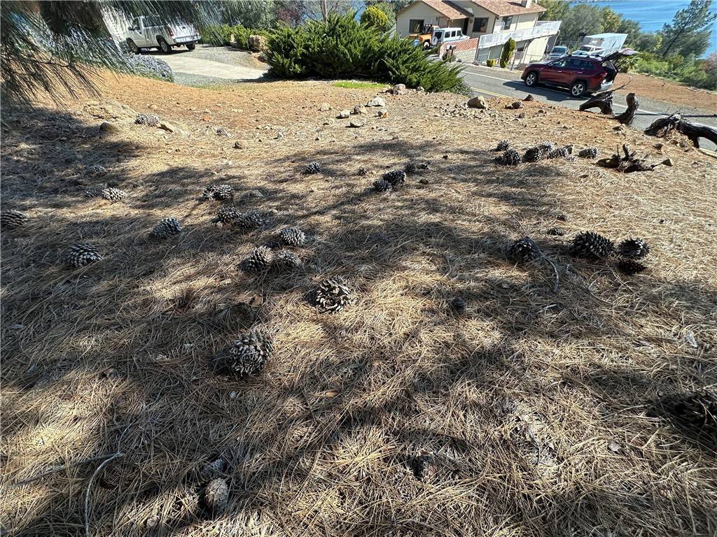 Kelseyville, CA 95451,3575 Shoreline View WAY