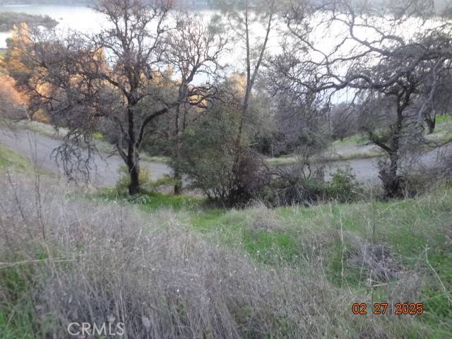 Clearlake Oaks, CA 95423,11860 Lakeview DR