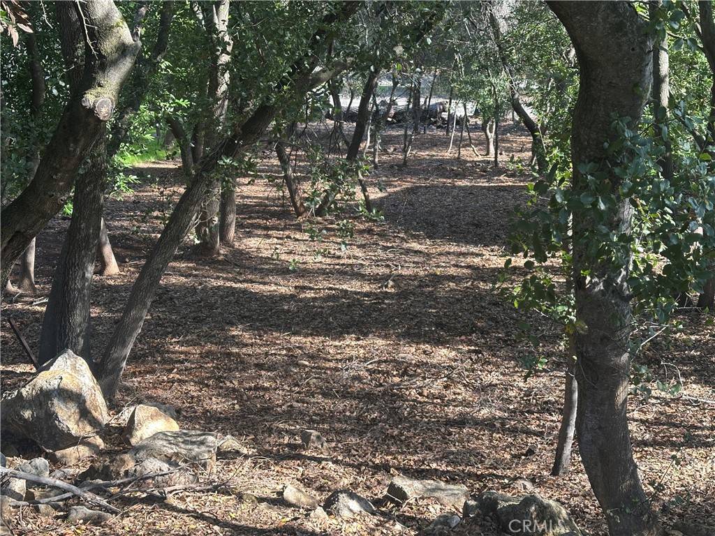 Kelseyville, CA 95451,3470 Shoreline View WAY