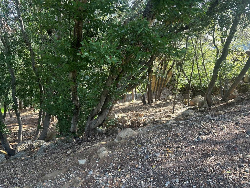 Kelseyville, CA 95451,3470 Shoreline View WAY
