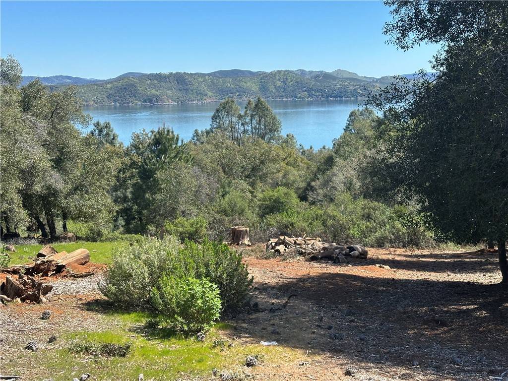 Kelseyville, CA 95451,3648 Shoreline View WAY