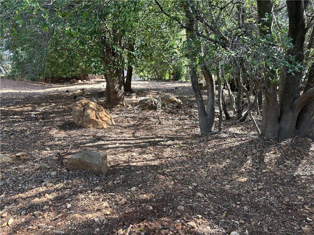 Kelseyville, CA 95451,8310 Mountain Crest DR