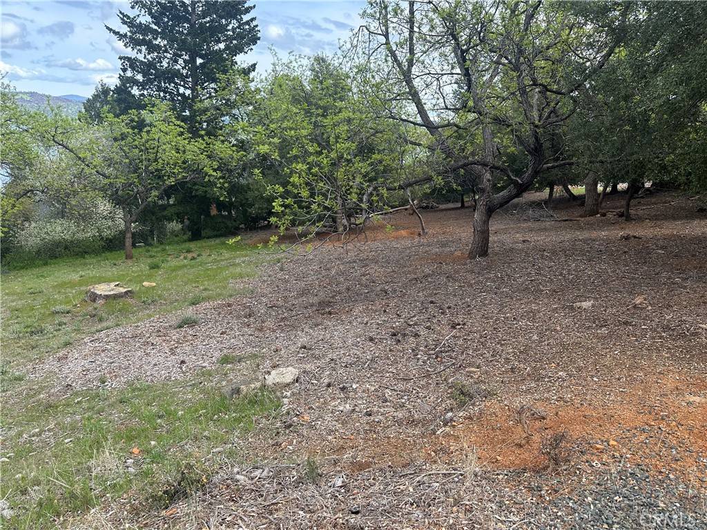Kelseyville, CA 95451,3680 Greenwood DR