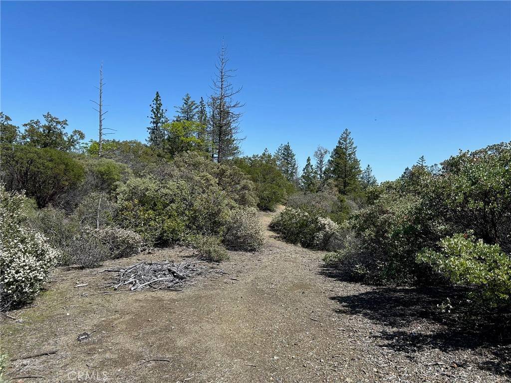 Middletown, CA 95461,14607 Western Mine RD
