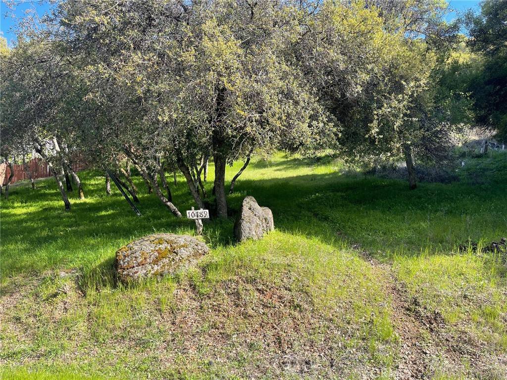 Kelseyville, CA 95451,10789 Harbor RD