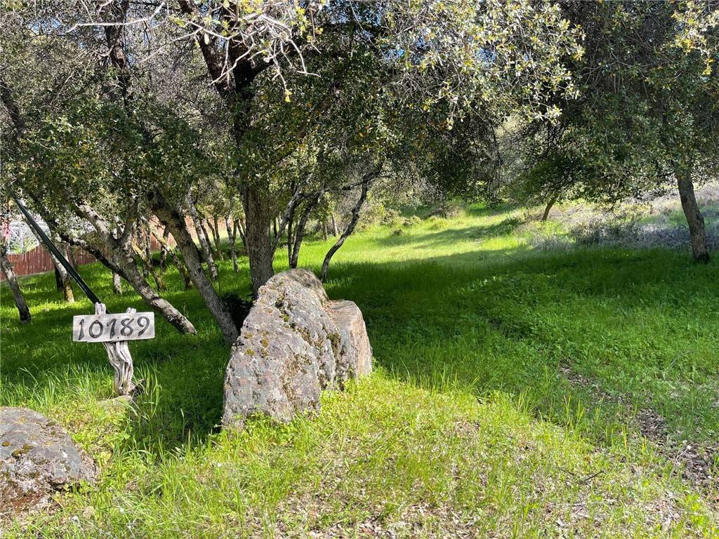 Kelseyville, CA 95451,10789 Harbor RD