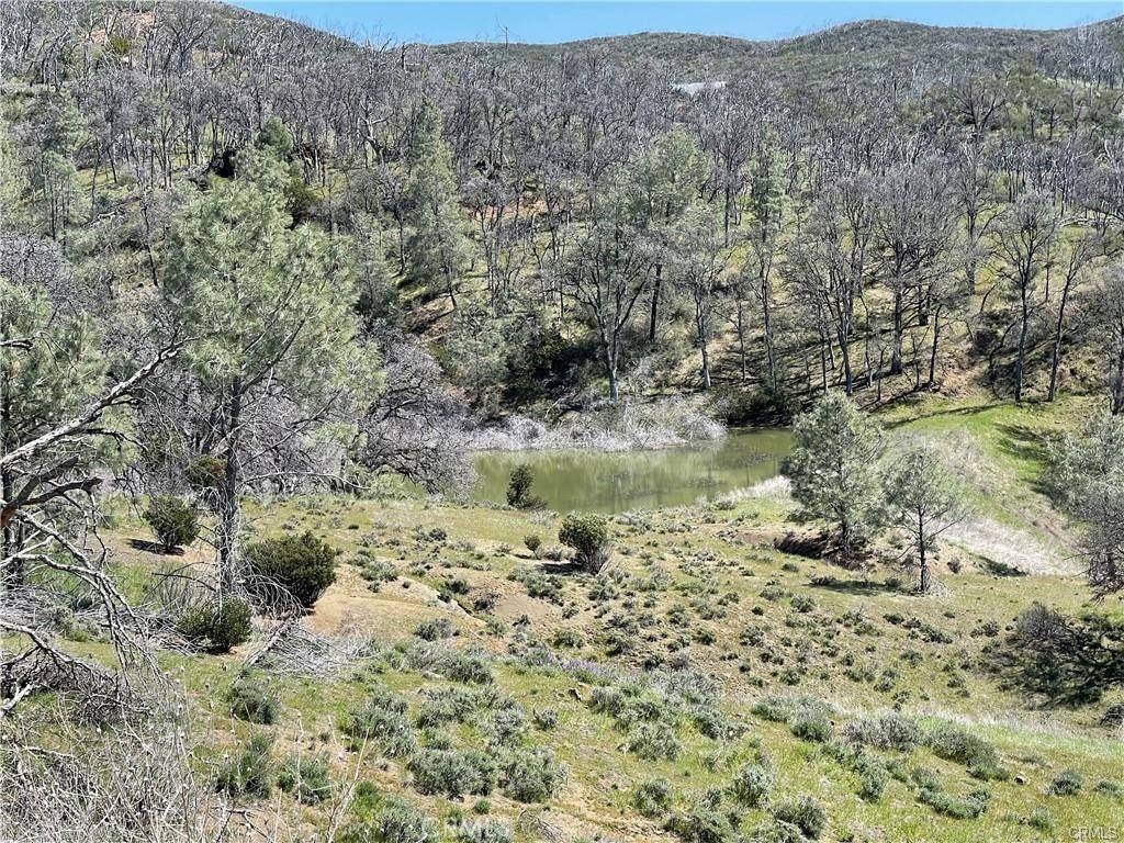 Lower Lake, CA 95457,9650 Rocky Creek RD