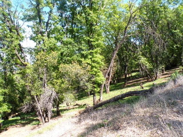 Kelseyville, CA 95451,3054 Riviera Heights DR