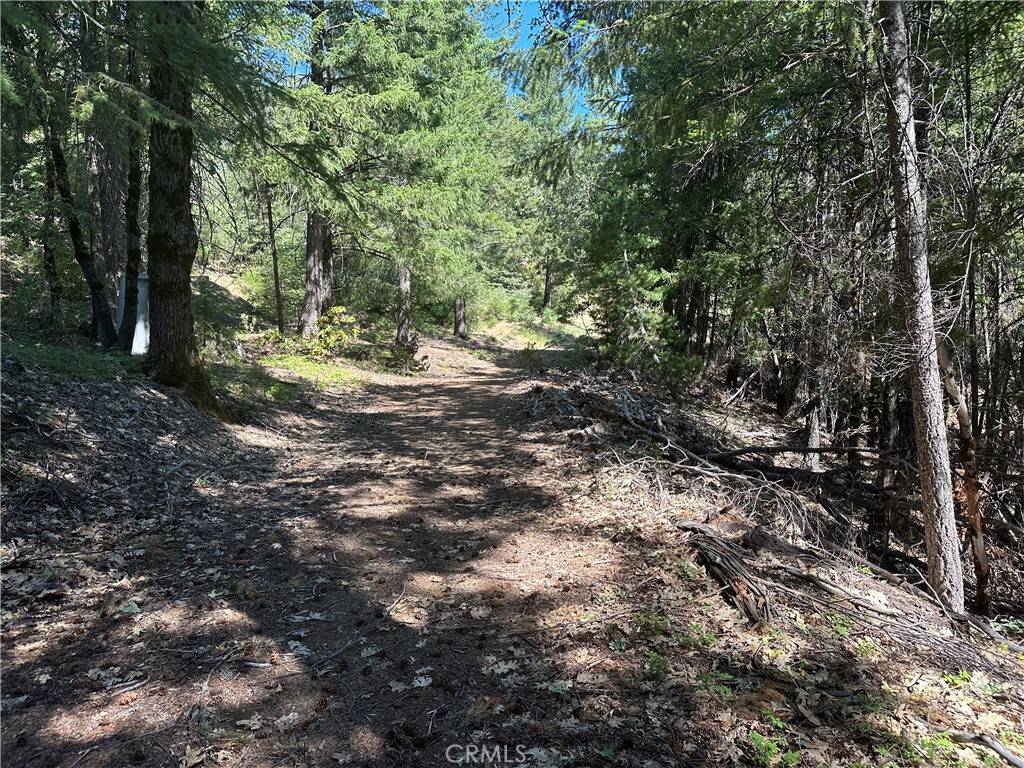 27257 19N16 RD Upper Lake, CA 95485