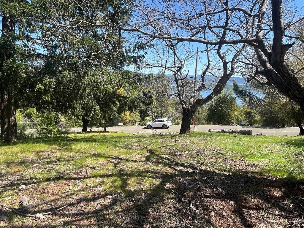 Kelseyville, CA 95451,3675 Crestwood DR