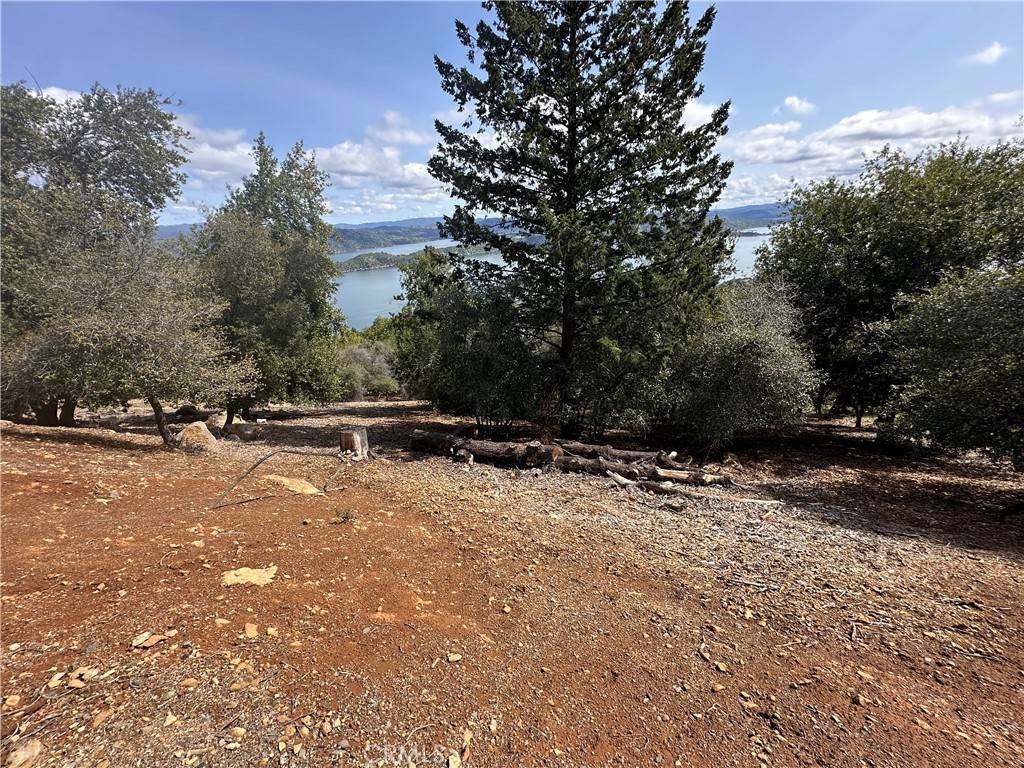 Kelseyville, CA 95451,8164 Broadview DR