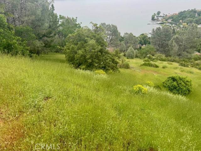 Kelseyville, CA 95451,3260 Chaparral LN