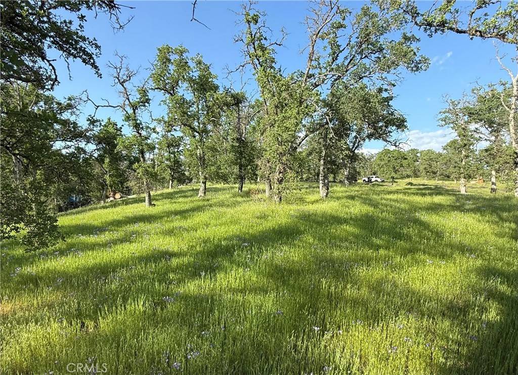 Clearlake, CA 95422,16461 32nd Ave