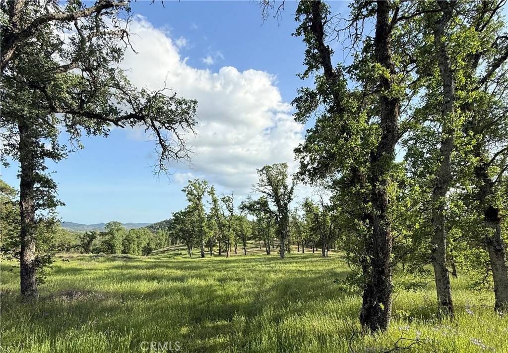 Clearlake, CA 95422,16461 32nd Ave