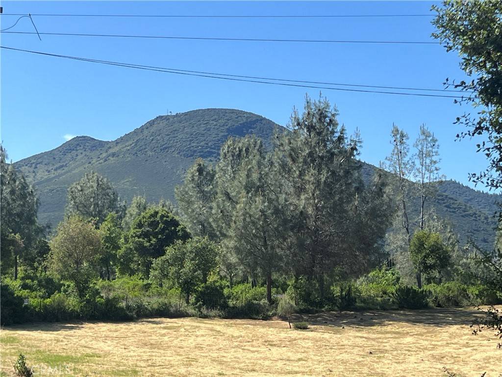 Kelseyville, CA 95451,9539 Fairway DR
