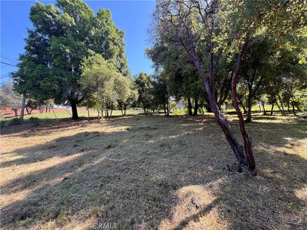 Kelseyville, CA 95451,9539 Fairway DR