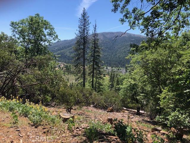 Cobb, CA 95426,9563 Fox DR
