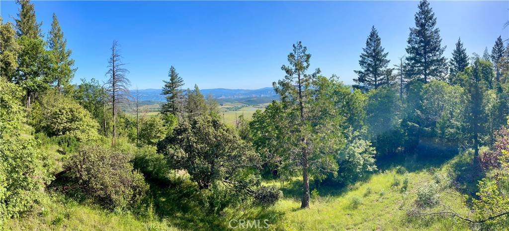 Kelseyville, CA 95451,9233 Diamond Dust TRL