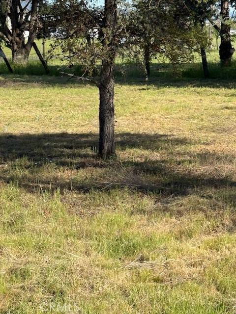 Lakeport, CA 95453,2441 Parallel DR