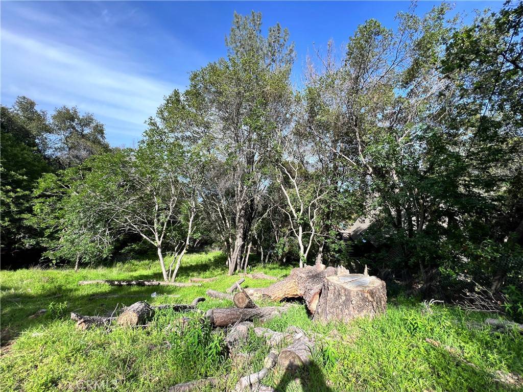Kelseyville, CA 95451,3356 Southlake CT