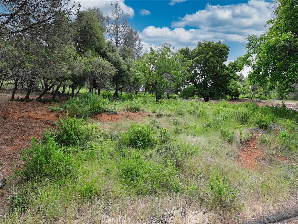 Kelseyville, CA 95451,3218 Skyline DR