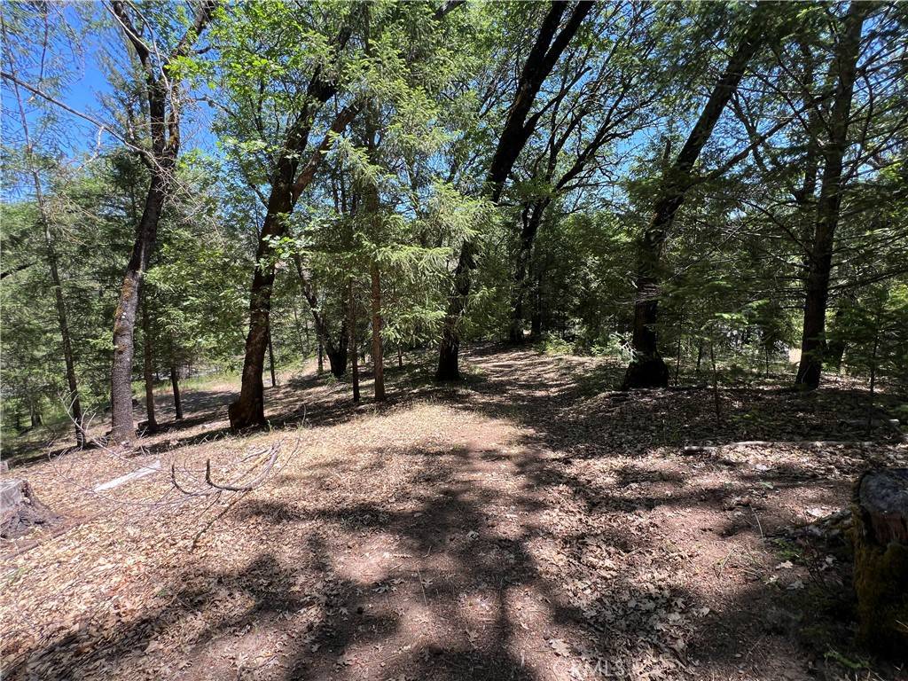 Cobb, CA 95426,15675 Bottle Rock RD