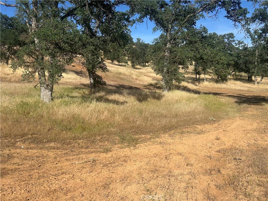 Clearlake, CA 95422,16345 38th AVE