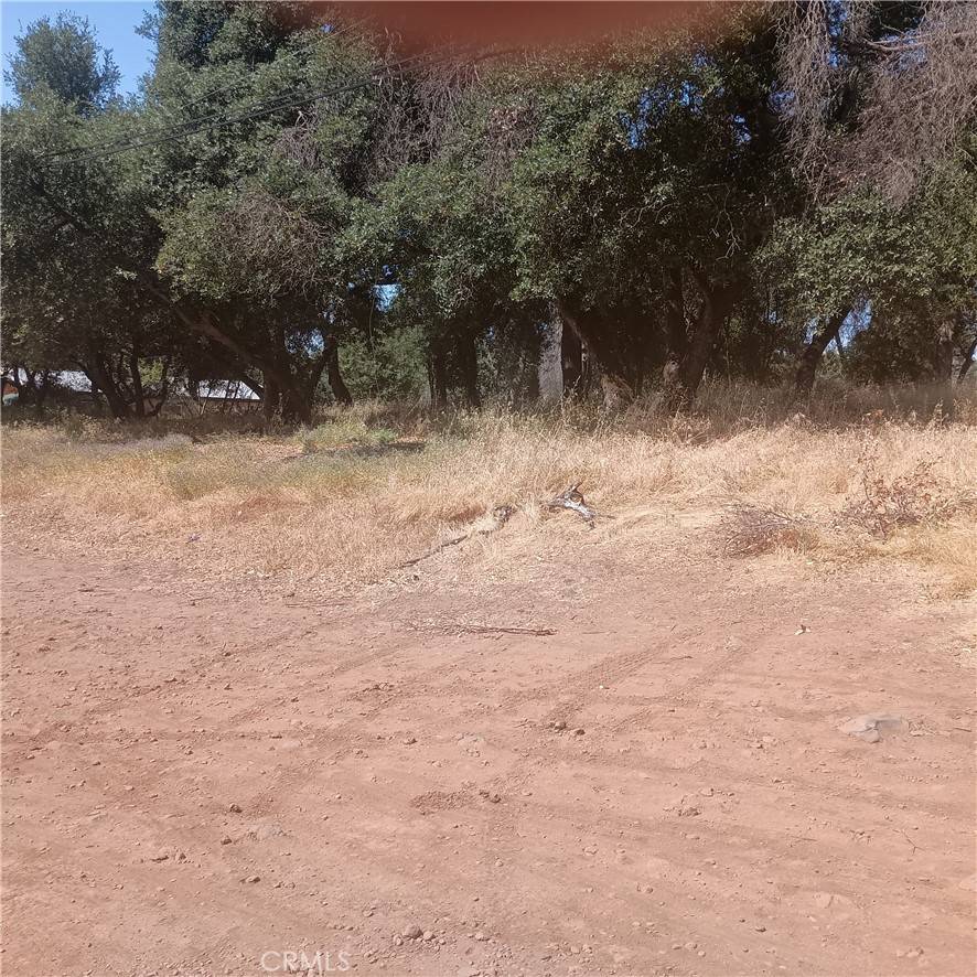 Clearlake, CA 95422,3519 Covelo ST