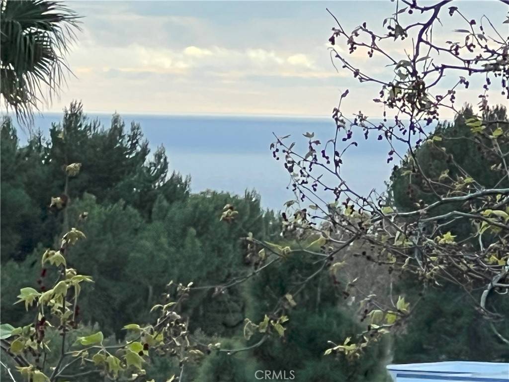 Dana Point, CA 92629,4 Los Cabos