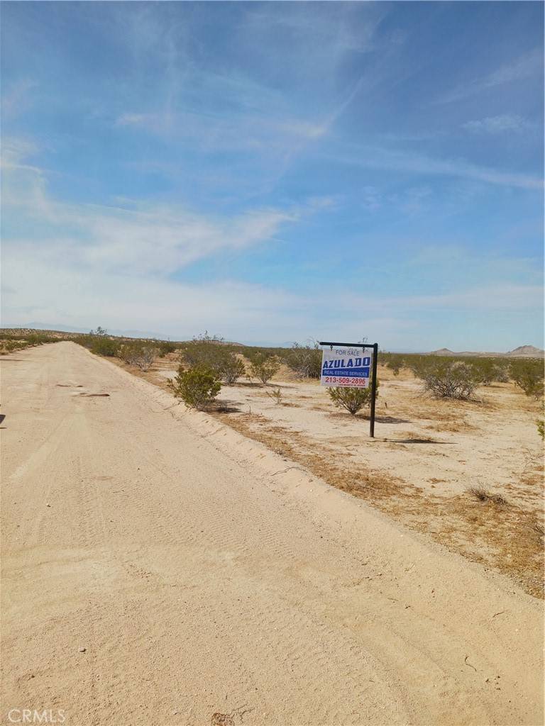 California City, CA 93505,0 Wayne