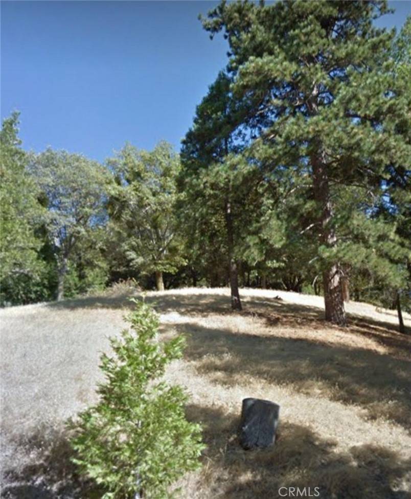 Cedarpines Park, CA 92322,0 MOJAVE RIVER RD