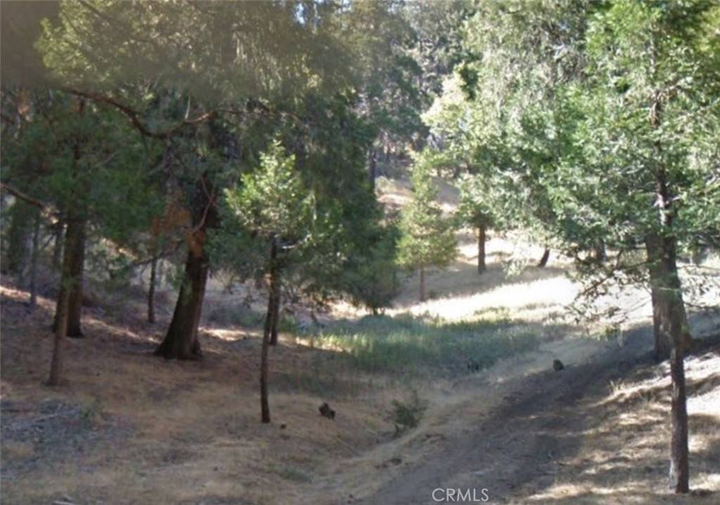 Cedarpines Park, CA 92322,0 Burnt Mill Canyon RD