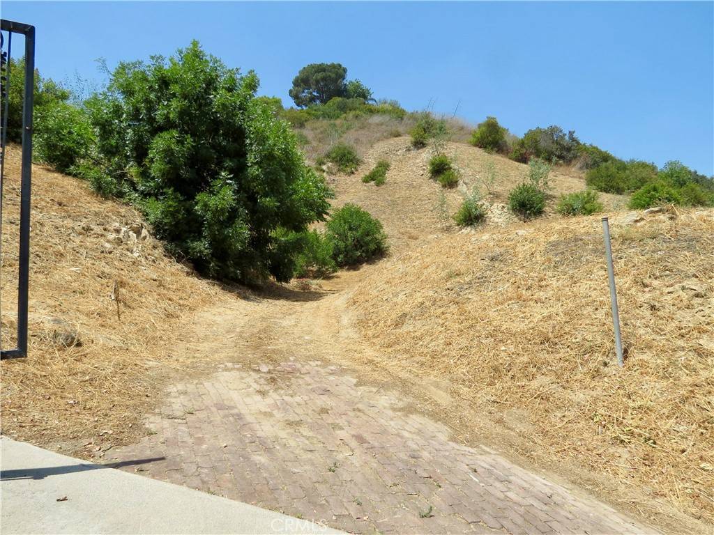Mount Washington, CA 90065,3597 Loma Lada Dr