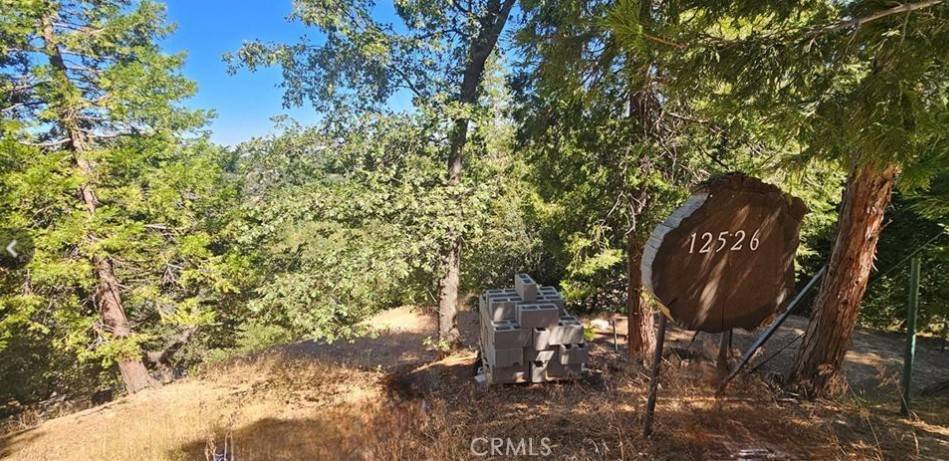 Crestline, CA 92325,25126 Jewel DR